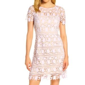 Eliza J lace lavender dress in perfect condition